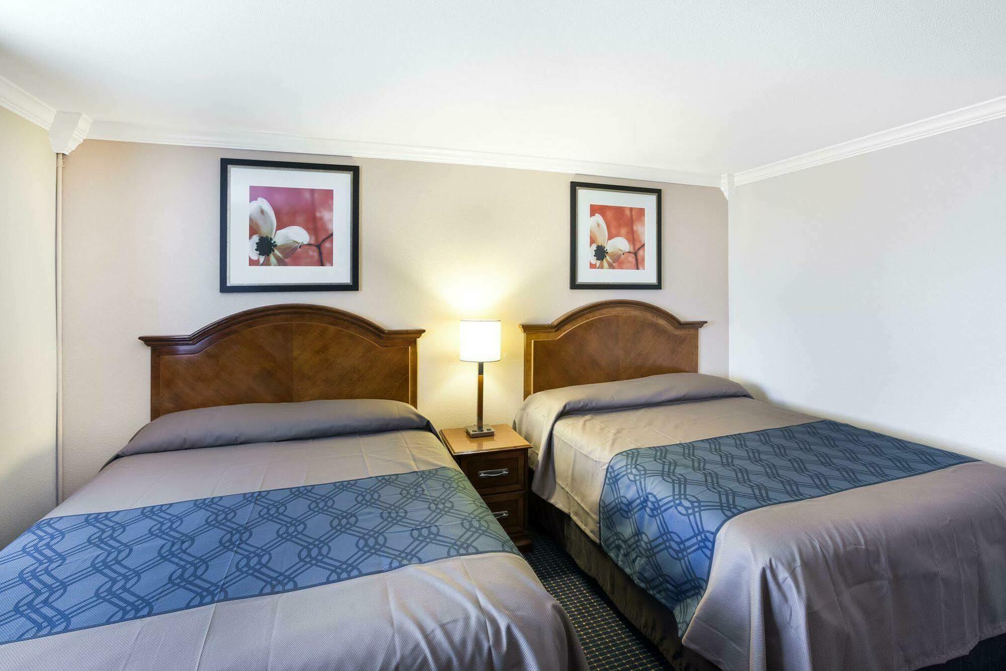 University Inn & Suites ซานอันโตนิโอ ภายนอก รูปภาพ